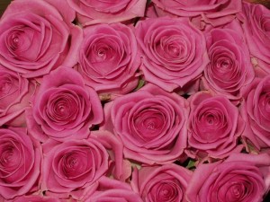 3€ de descuento en Floristeria Fernando