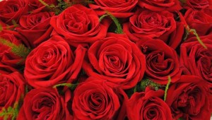 Envio Gratis en Floristeria Fernando