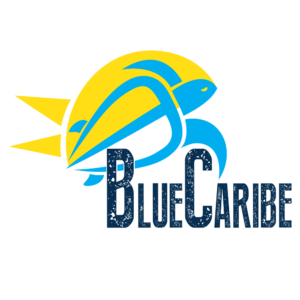 Blue Caribe Tours